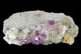 Amethyst Crystal Cluster - Las Vigas, Mexico #137007-1
